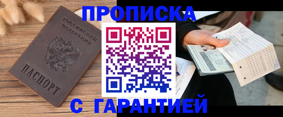 где прописаться в Коле